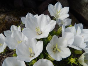 DSCN2318.JPG