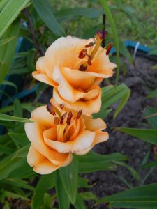 DSCN2267.JPG