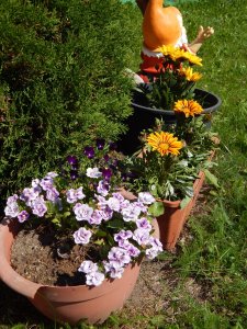 DSCN2210.JPG