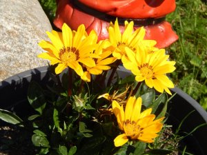 DSCN2213.JPG