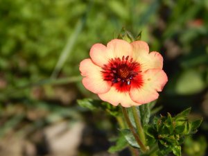 DSCN2271.JPG