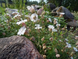 DSCN2315.JPG