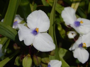 DSCN2275.JPG