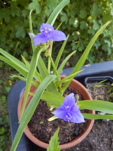 DSCN2279.JPG