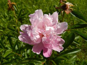 DSCN2179.JPG