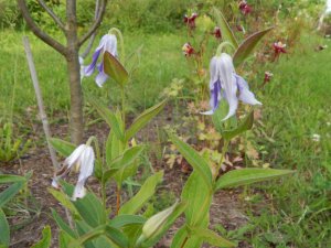 DSCN2305.JPG
