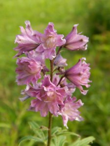 DSCN2362.JPG