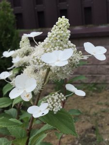 854D332C-0540-4CF3-8A2F-DE3E06E0B12A.jpeg