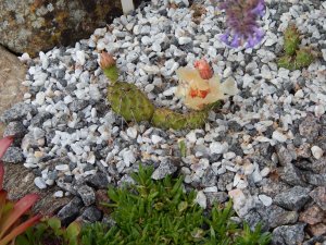 DSCN2578.JPG