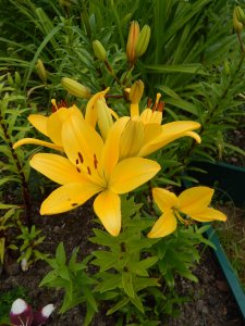 DSCN2461.JPG