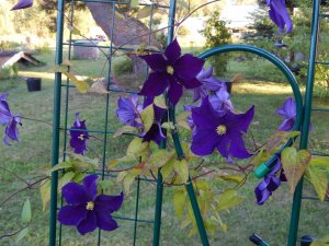DSCN2658.JPG