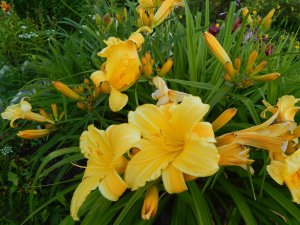 DSCN2707.JPG