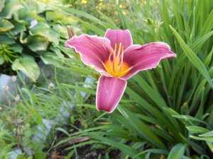 DSCN2713.JPG