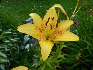 DSCN2715.JPG