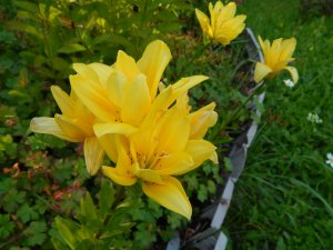 DSCN2726.JPG