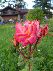 DSCN2703.JPG