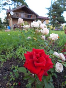 DSCN2720.JPG