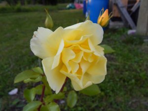 DSCN2729.JPG