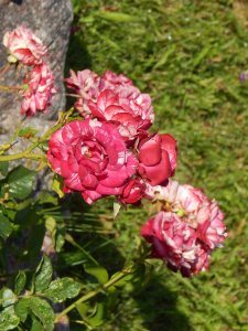 DSCN2794.JPG