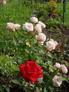 DSCN2816.JPG