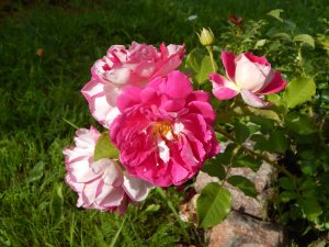 DSCN2840.JPG