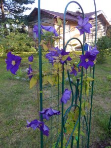 DSCN2686.JPG