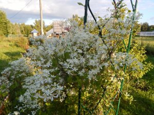 DSCN2709.JPG