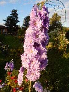 DSCN2711.JPG