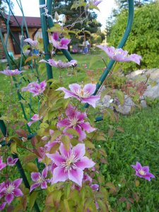 DSCN2719.JPG