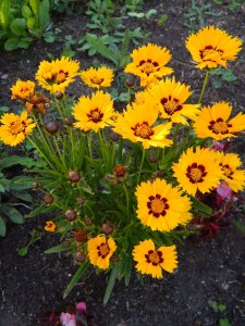 DSCN2722.JPG