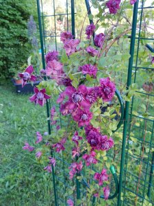 DSCN2731.JPG