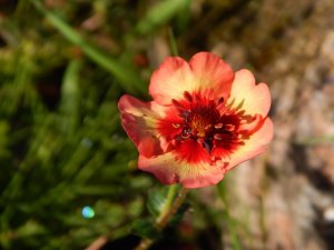 DSCN2778.JPG