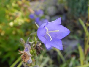 DSCN2790.JPG