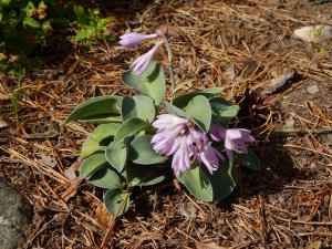 DSCN2852.JPG