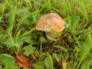 DSCN2857.JPG