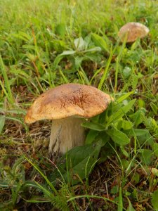 DSCN2859.JPG
