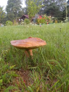DSCN2860.JPG