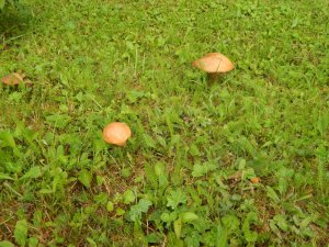 DSCN2877.JPG