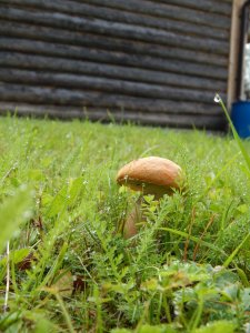 DSCN2878.JPG