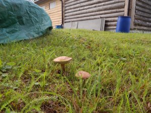DSCN2881.JPG