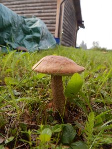 DSCN2883.JPG