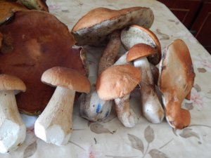 DSCN2943.JPG