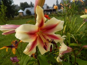 DSCN2871.JPG
