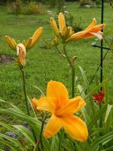 DSCN2876.JPG