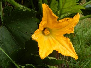DSCN2894.JPG