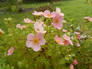 DSCN2901.JPG