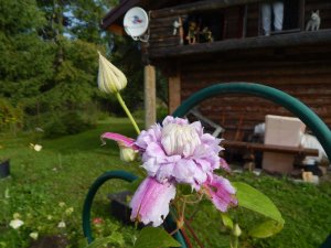 DSCN2930.JPG