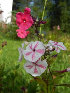 DSCN2932.JPG