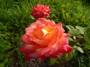DSCN2914.JPG
