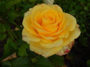 DSCN2926.JPG